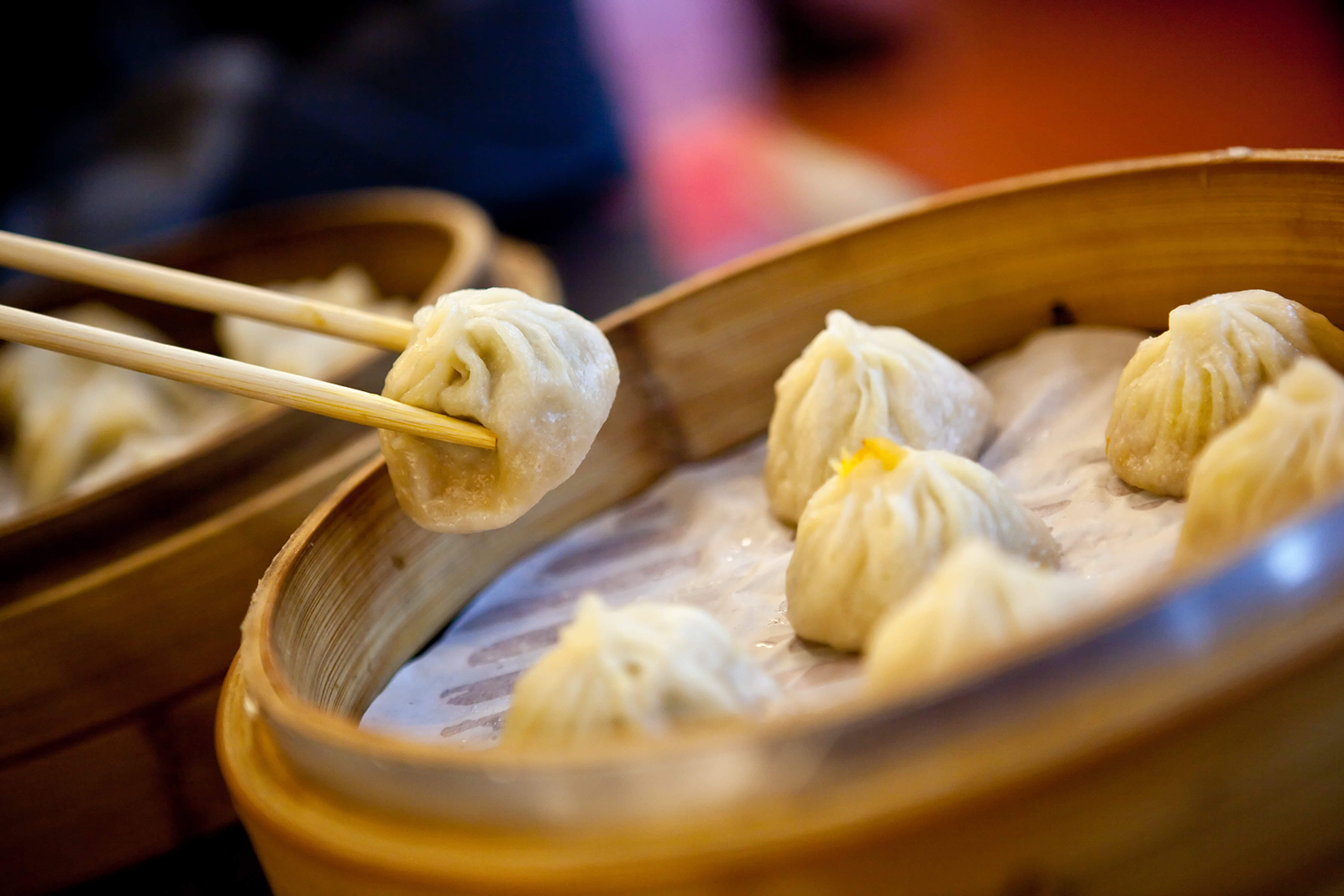 best dumplings melbourne